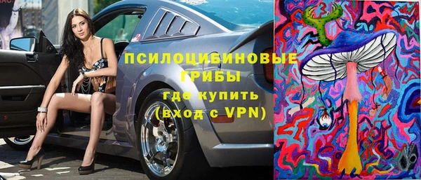 крисы Куйбышев
