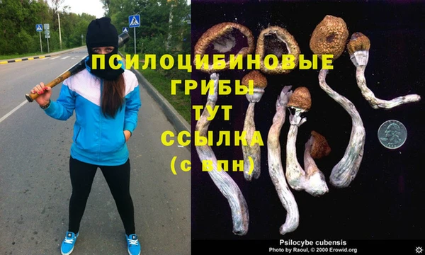 прущая мука Абдулино
