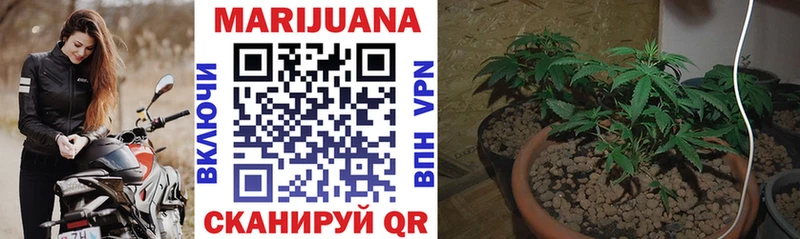 площадка как зайти где продают наркотики Южноуральск Канабис THC 21%